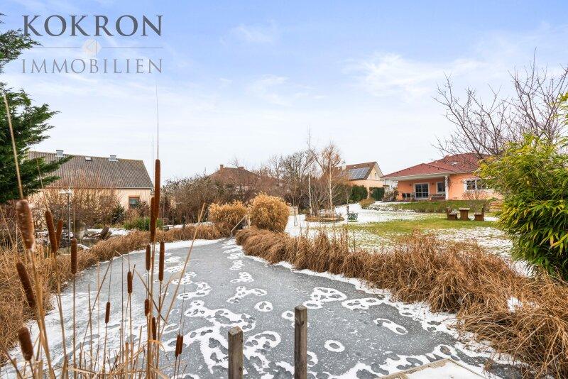 Das Schwimm-Biotop - derzeit eher Eislauf-Biotop