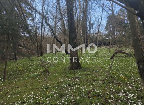 Aehnliche Immobilie - Vorschaubild 2