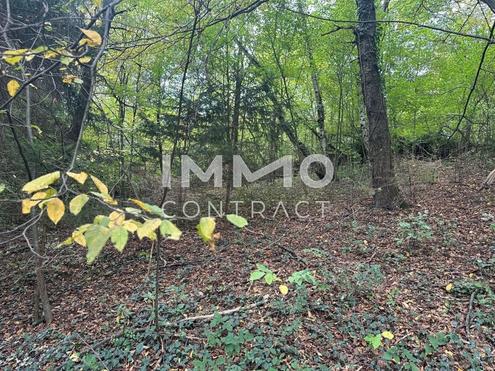 Leben mitten in der Natur! Baugrundst�ck im Wienerwald! Perfekt f�r Familien geeignet!