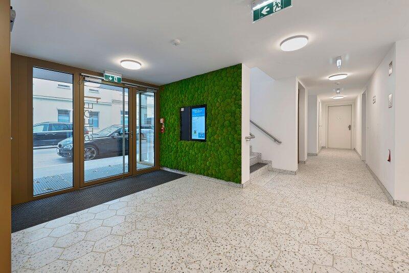 The Temptation | Hauseingang