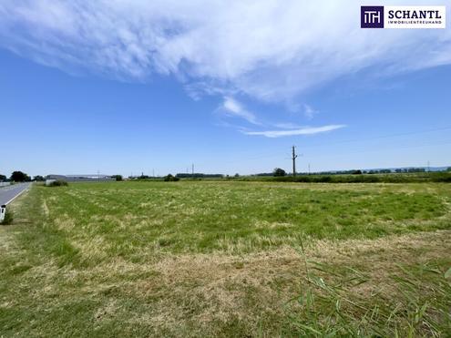 IHRE CHANCE: Betriebsgrundst�ck I TOP-Lage I Ideal geschnitten I Ortseinfahrt Mitterndorf/Fischa