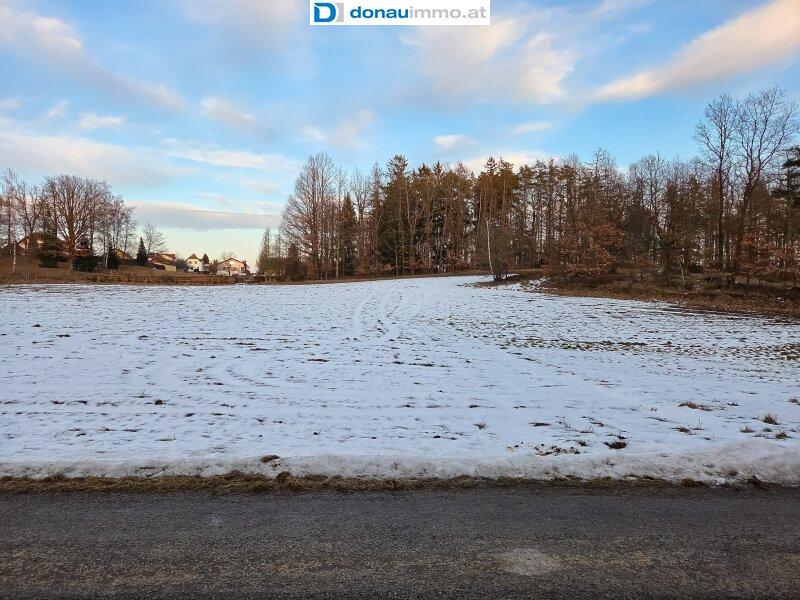 Gro�es Haus mit Garten im Waldviertel Bezirk Gm�nd