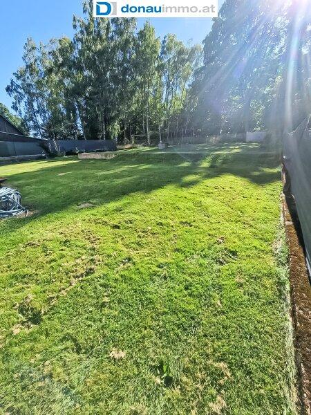 Sommerimpression _ Gro�es Haus mit Garten im Waldviertel Bez