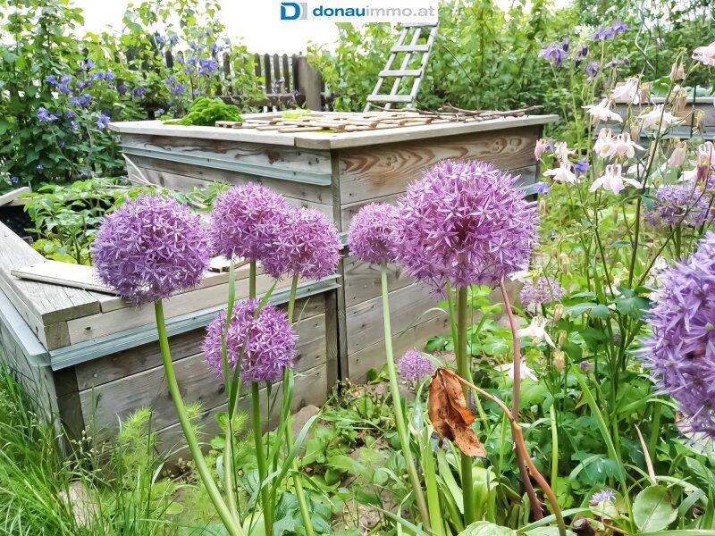 Fr�hling-/Sommerimpressionen Haus im Waldviertel