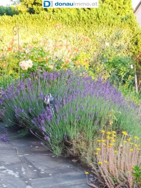 Fr�hling-/Sommerimpressionen Haus im Waldviertel