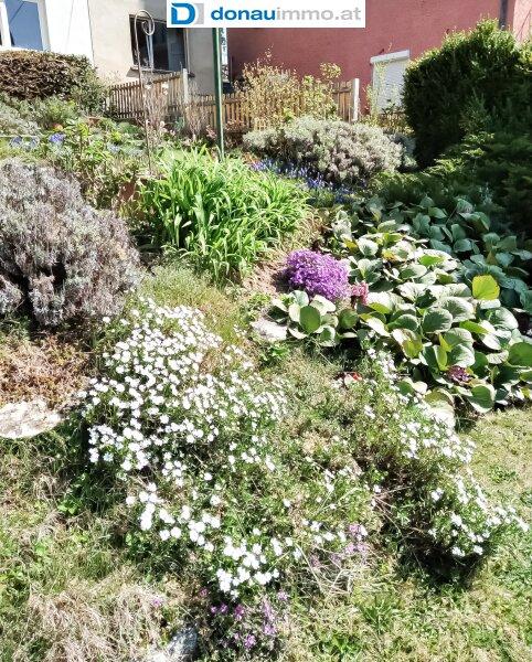 Fr�hling-/Sommerimpressionen Haus im Waldviertel