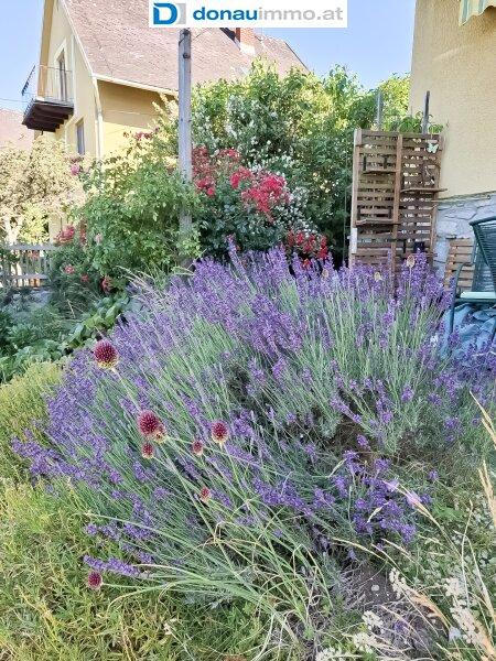 Fr�hling-/Sommerimpressionen Haus im Waldviertel