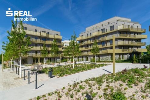 Hirschfeld - Ihr neues Zuhause im Grünen - anfragen, besichtigen, einziehen - 41 bis 96 m²