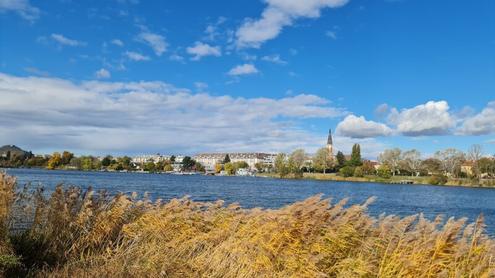 AN DER ALTEN DONAU - Charmantes Einfamilienhaus mit Garten
