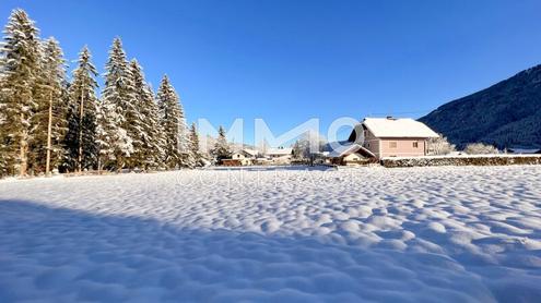 Baugrund f�r Ihren Wohntraum