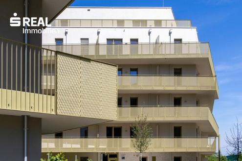 Hirschfeld - Ihr neues Zuhause im Grünen - anfragen, besichtigen, einziehen - 41 bis 96 m²