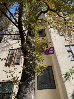 Aehnliche Immobilie - Vorschaubild 2