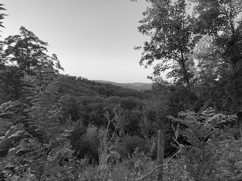 Baugrundst�ck mit traumhaftem Blick f�r Ihr Einfamilienhaus - Steile Hanglage