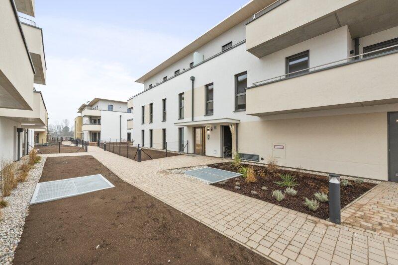 Bella Vita - Wiener Neustadt