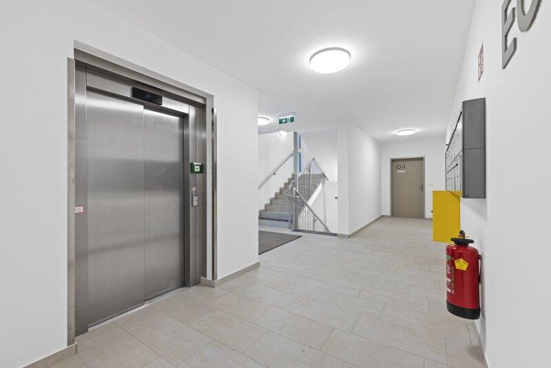 Bella Vita - Wiener Neustadt