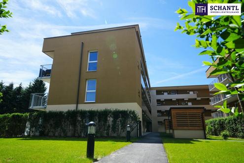 Aehnliche Immobilie - Vorschaubild 1