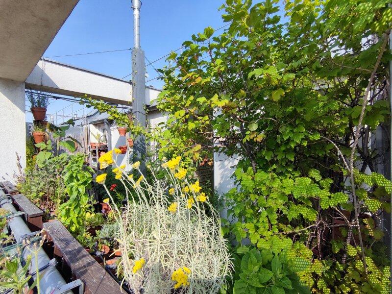 Sch�nbrunner Stra�e 20-24