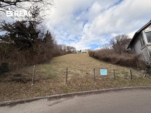 Traumgrundst�ck am �lberg