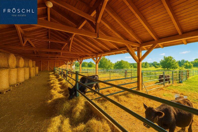 Stallgeb�ude Innebereich - Pic 1