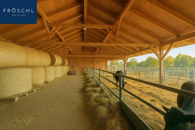 Stallgeb�ude Innebereich - Pic 1