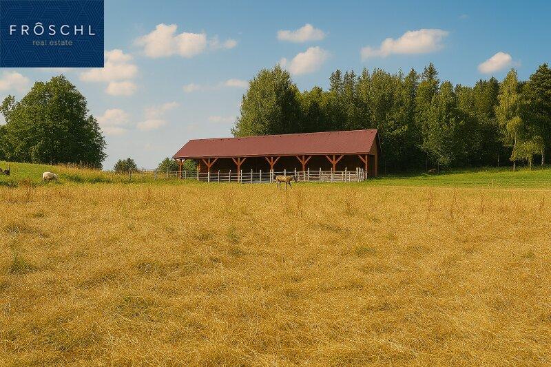 Stallgeb�ude Au�enansicht - Pic 1