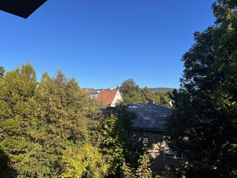 Ausblick ins Gr�ne