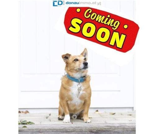 Aehnliche Immobilie - Vorschaubild 1