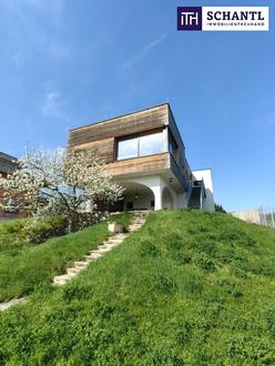 ++ TRAUMBLICK über den gesamten Neusiedler See ++ Architektenvilla mit weitläufigem Garten und traumhaftem Seeblick in idyllischer Lage! + Teilung und weitere Bebauung des Grundstückes möglich