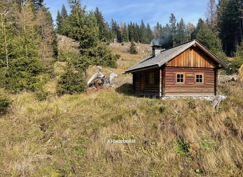 20 ha Wald St. Peter am Kammersberg I Murau
