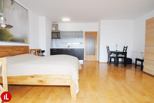 Schwechat - Top gepflegte 42 m� Garconiere mit Loggia sofort zu mieten!