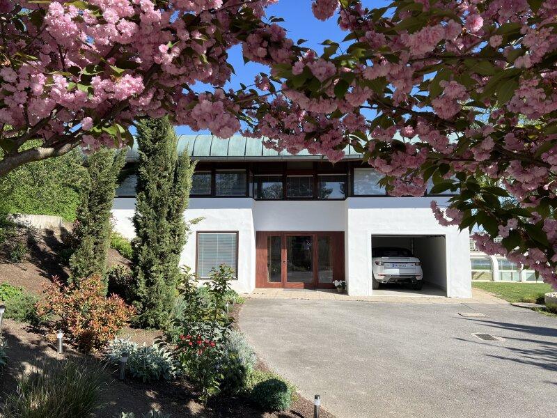 Eingangst�r zu Haus Wittmann umgeben von Kirschbl�ten