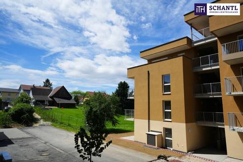 Aehnliche Immobilie - Vorschaubild 2