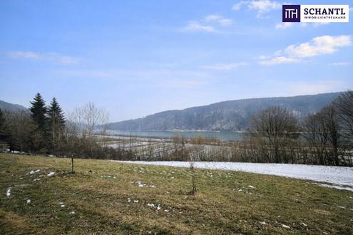Seltenes Baugrundst�ck mit genialem Donau-Blick in ruhiger Lage: 2.168 m� f�r gro�z�giges Eigenheim, Mehrgenerationenwohnen oder Wohnen & Arbeiten auf einem Grundst�ck!