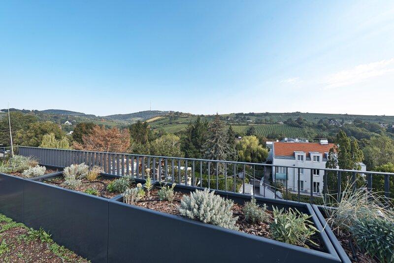 Aussicht - Unterer Schreiberweg