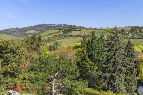 Aehnliche Immobilie - Vorschaubild 1