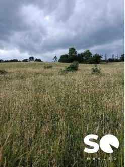 #SQ -  225 pro m� - GRUNDST�CK MIT 2000m� BAULAND - BLICK IN HOCHEICHBERG BEI ALTLENGBACH