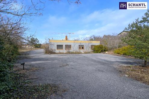 Gro�z�giges Grundst�ck mit vielf�ltigen M�glichkeiten in Kottingbrunn