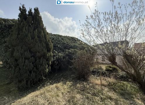 Einfamilienhaus zum Sanieren in Schiltern
