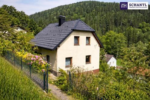 SANIERUNGS-SCHN�PPCHEN mit neuem Dach & neuer Pelletheizung - Echte Gelegenheit am Hochwechsel - ein Haus voller M�glichkeiten