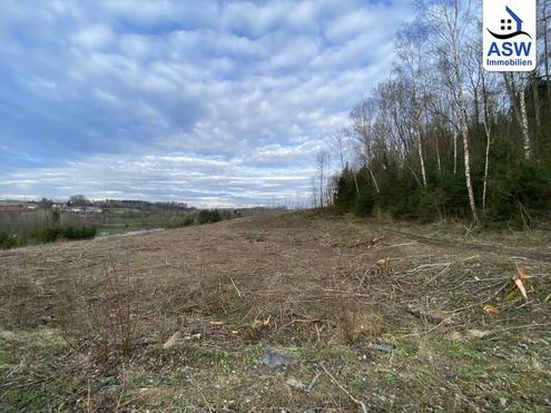 Top Gelegenheit: ca. 23.000 m2 Betriebsbaugebiet in Stadt Haag