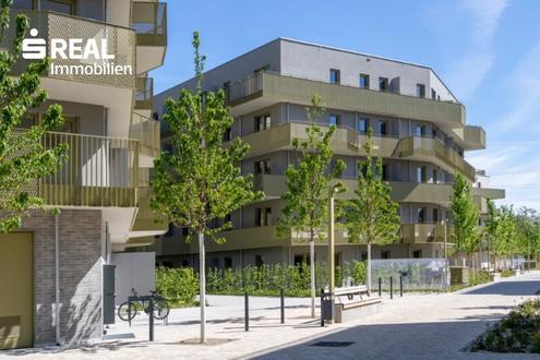 Aehnliche Immobilie - Vorschaubild 3