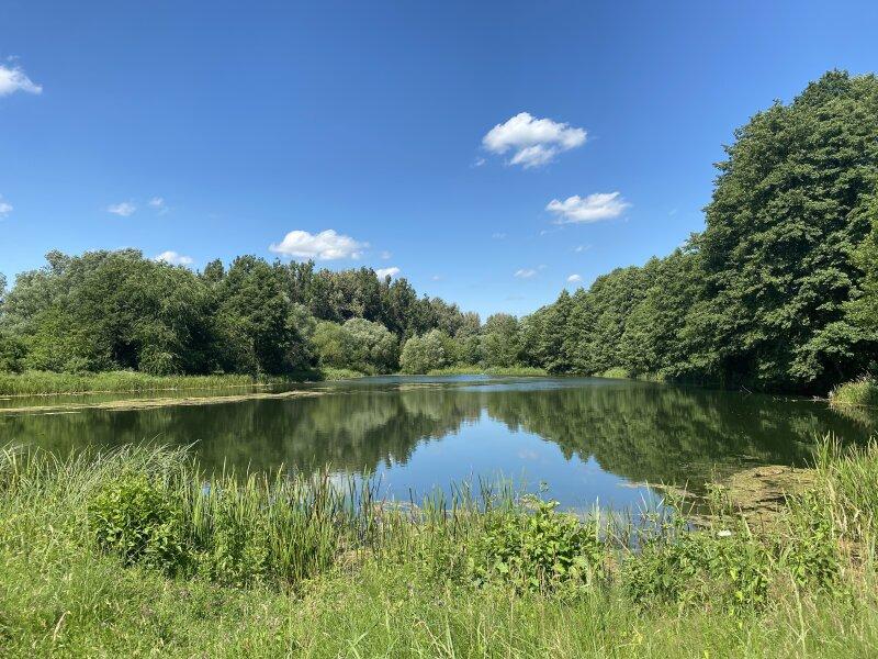 Erholungsgebiet M�hlwasser