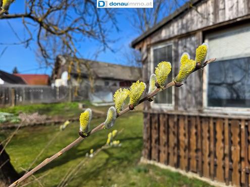 Ein Garten zum Verlieben - Familiengl�ck im Gr�nen