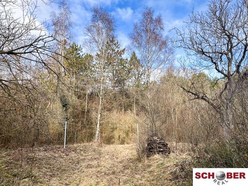 Grundst�ck in Waldrandlage