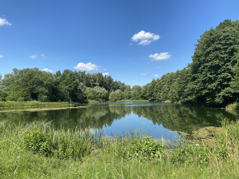 Erholungsgebiet M�hlwasser