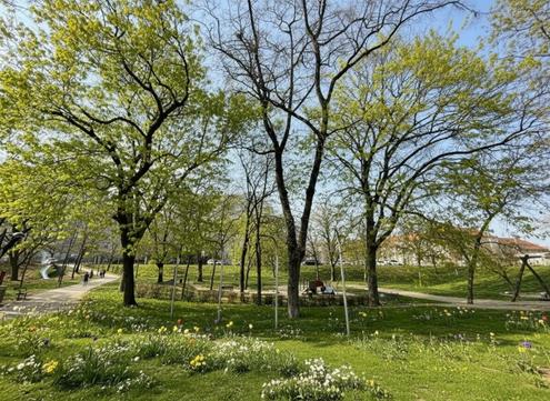 Trillerpark - 2-Zimmer-Wohnung mit Loggia nahe alte Donau