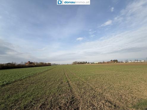 Aehnliche Immobilie - Vorschaubild 2