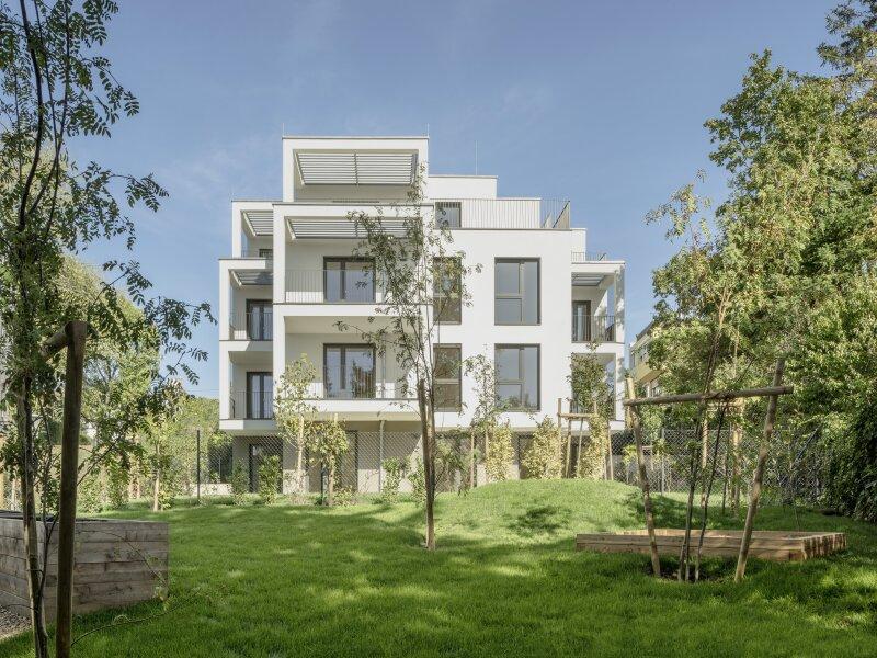 Blick vom Gemeinschaftsgarten