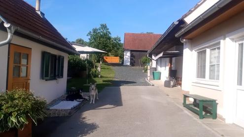 SANIERTES EINFAMILIENHAUS IN ABSOLUTER RUHELAGE