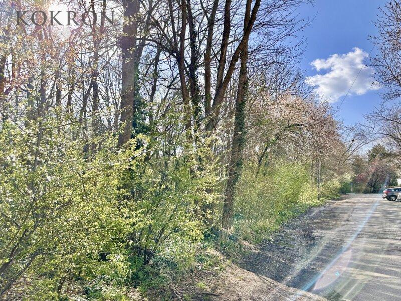 Der Rote Berg vor der Haust�re